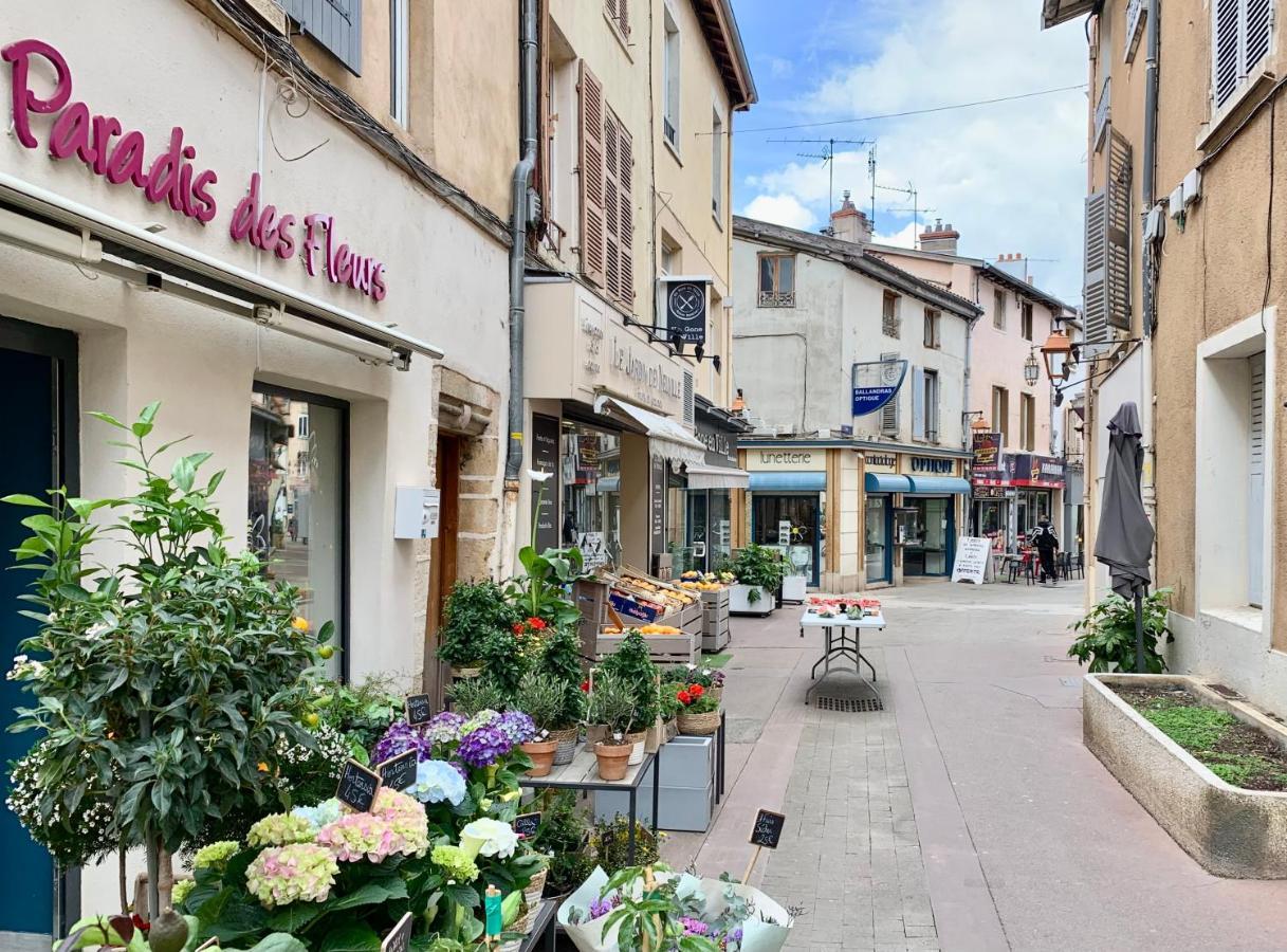 Charmant Appartement Au Coeur De Neuville - Lyon A 20Mn Buitenkant foto