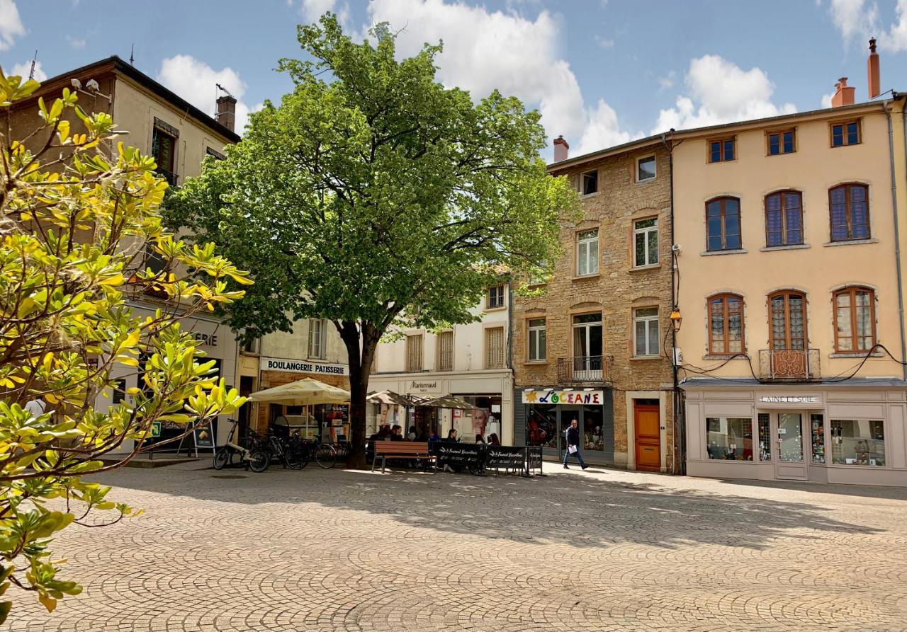 Charmant Appartement Au Coeur De Neuville - Lyon A 20Mn Buitenkant foto