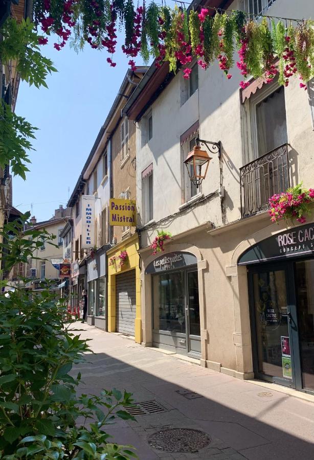 Charmant Appartement Au Coeur De Neuville - Lyon A 20Mn Buitenkant foto